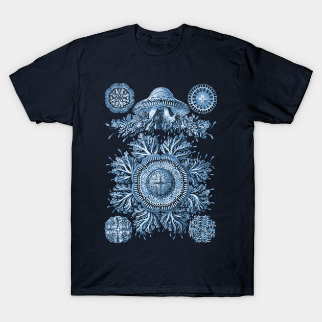 Ernst Haeckel Discomedusae Jellyfish Plate 28 Blue T-Shirt by Scientistudio